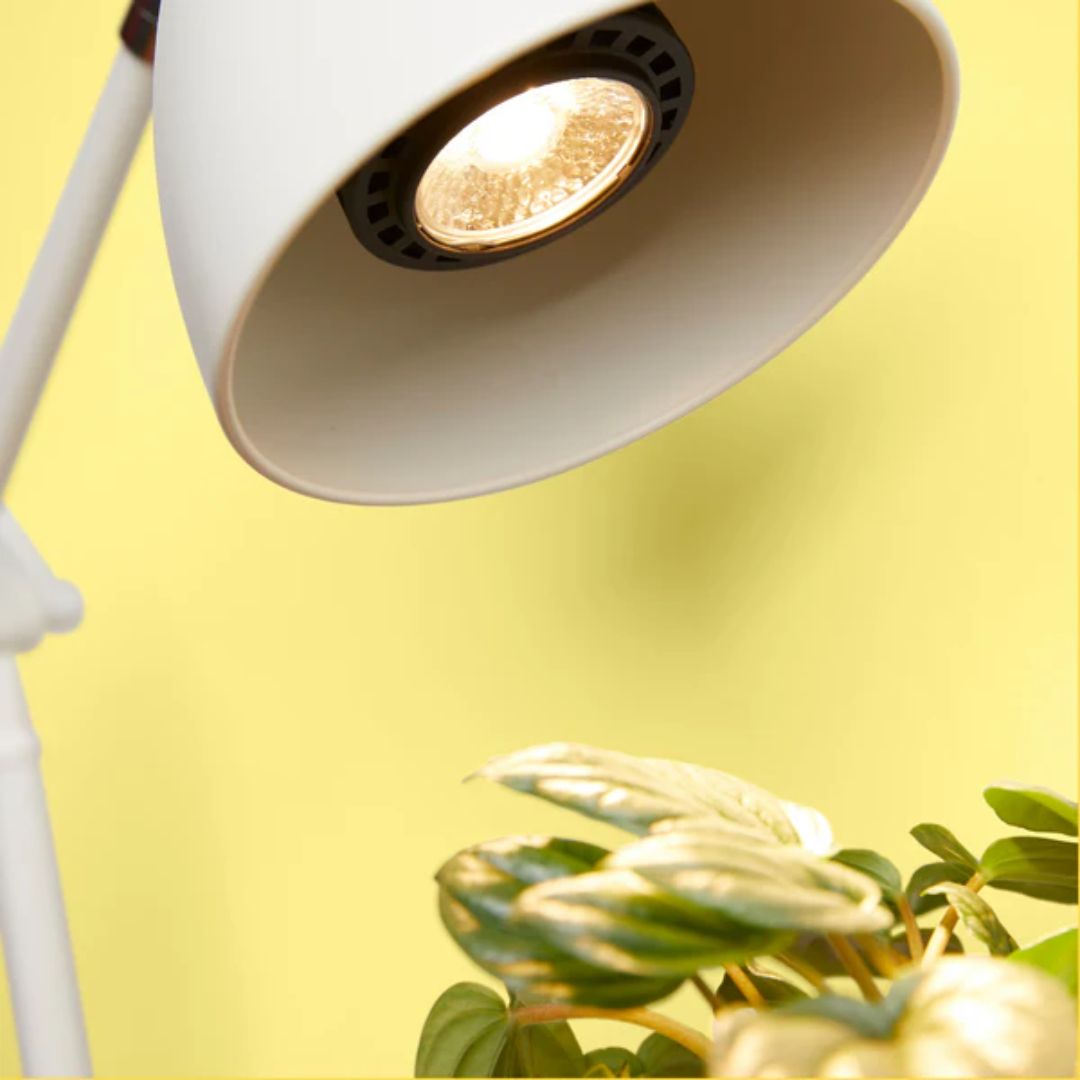 Instant Sun Grow Bulb – We The Wild – 10W